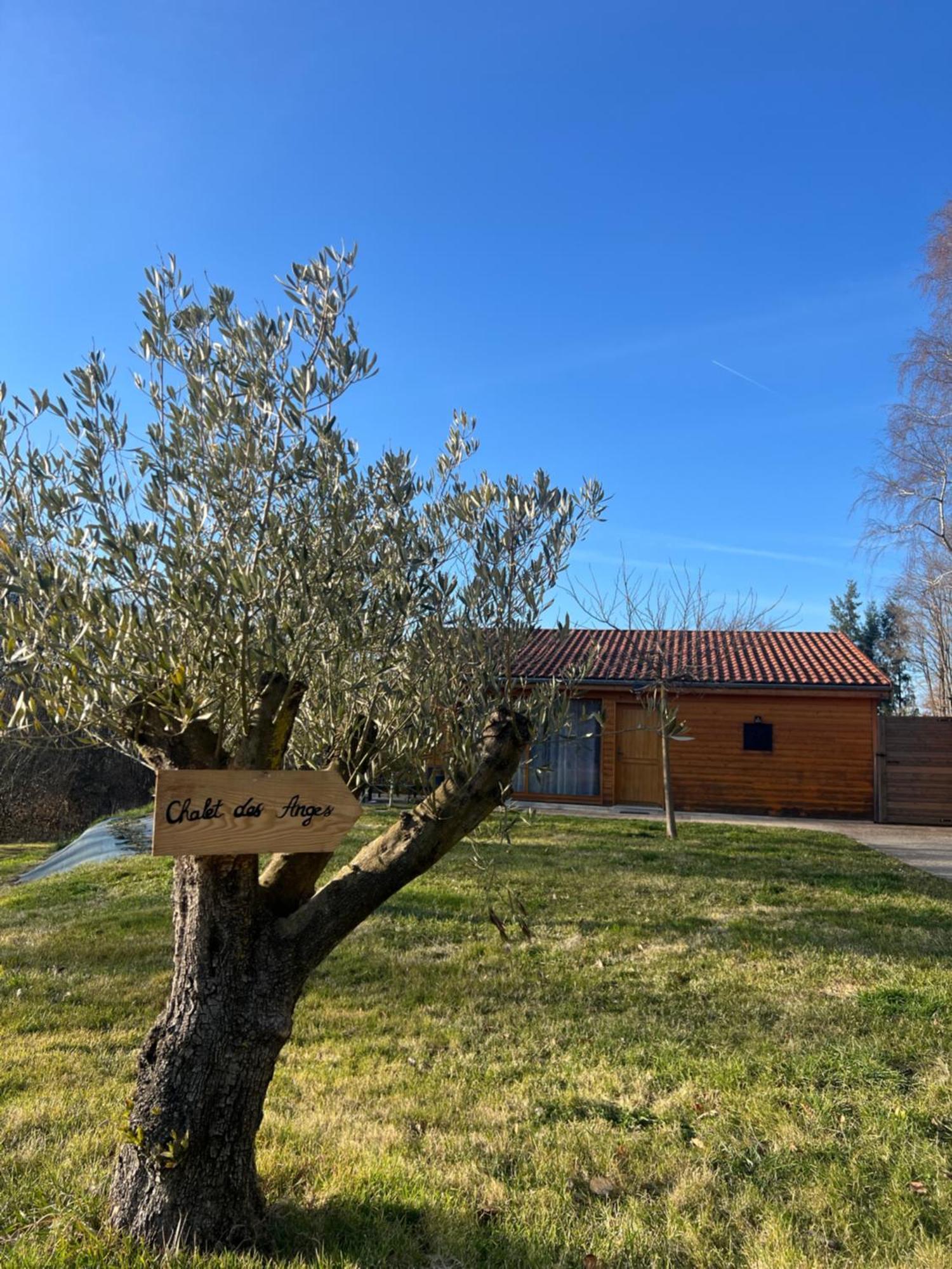 Chalet Des Anges Youx Exterior photo